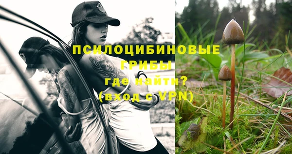 альфа пвп Кулебаки