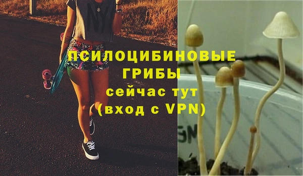 альфа пвп Кулебаки