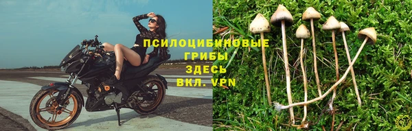 меф VHQ Кукмор